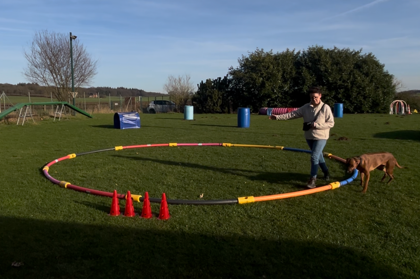 Beschäftigungskurse in der Hundeschule RaNa Dogs in Sonsbeck. Beschäftigungskurse - wie Longieren, Apportieren, Ballance, betreuter Freilauf und Social Walks - in der Hundeschule RaNa Dogs in Sonsbeck.