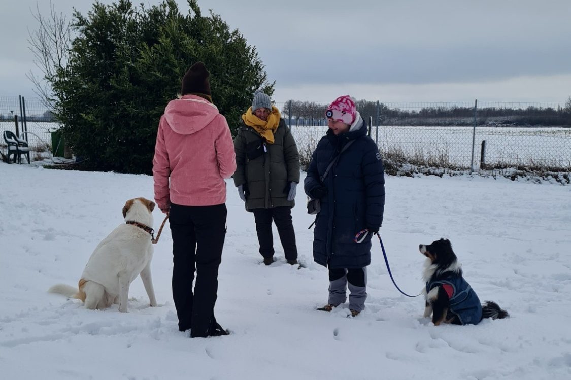 Ausbildung zum Hundetrainer - Trainee und Praktikum: Lerne Praxis und Theorie bei der Hundeschule RaNa Dogs in Sonsbeck und Rheinberg. Ausbildung zum Hundetrainer bei der Hundeschule RaNa Dogs in Sonsbeck und Rheinberg.